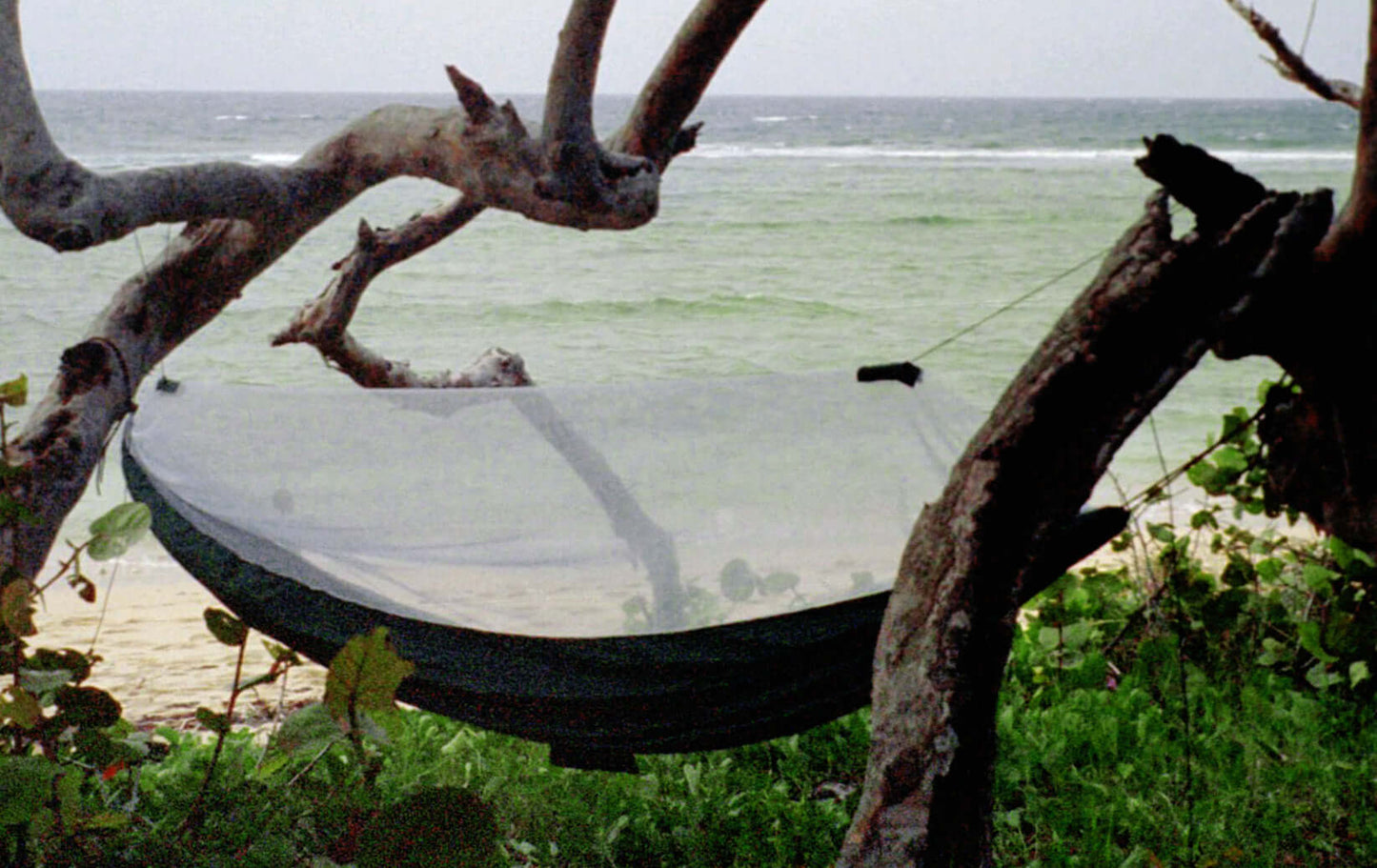 Mosquito Free hammock set between trees by the beach, featuring protective white netting for a pest-free experience.