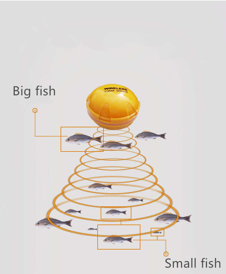 Wireless sonar fish finder illustration showing detection of big and small fish in sonar waves.