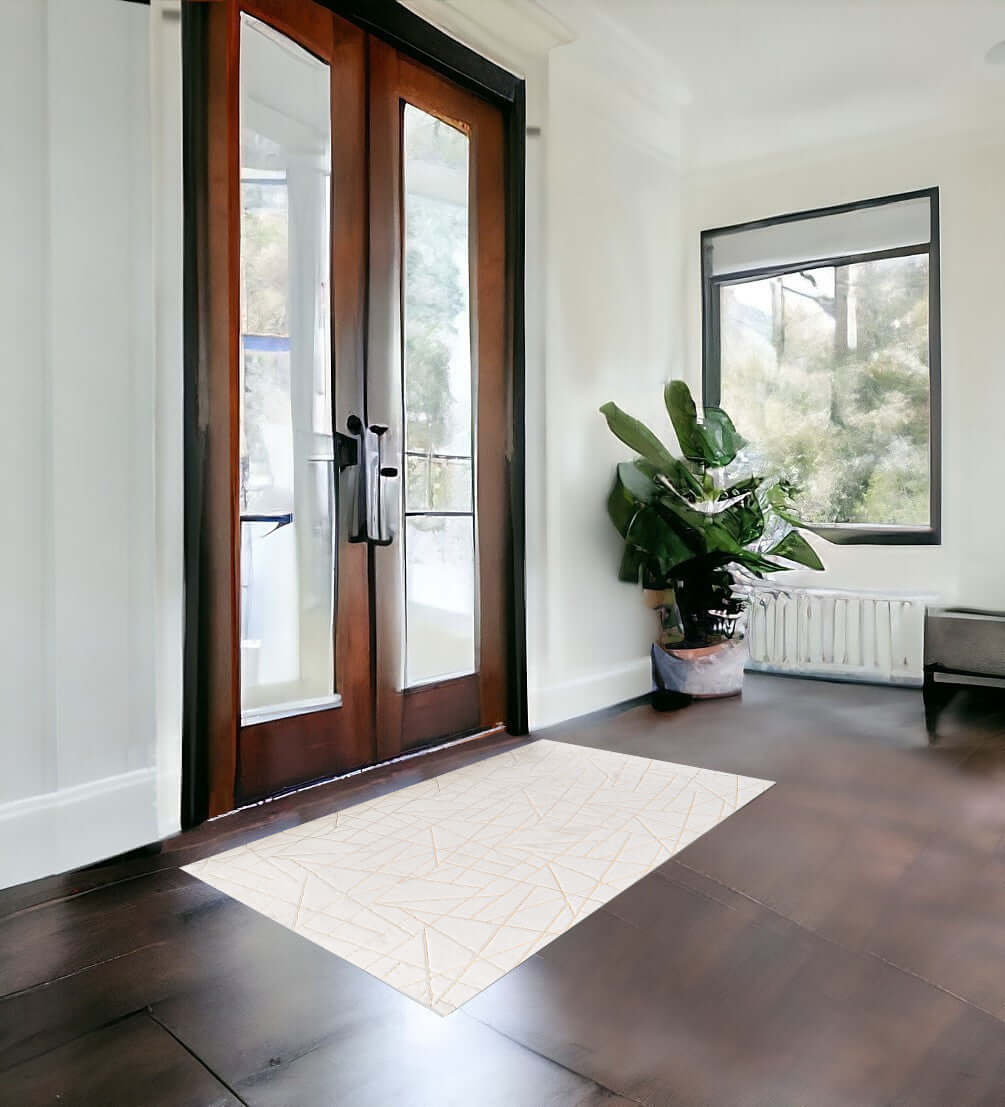 Faux fur area rug placed in a stylish entryway with wooden doors and greenery, featuring a modern abstract design.