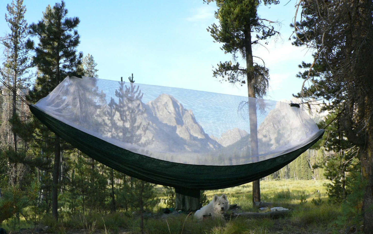 Mosquito Free Hammock with white netting set in a serene forest with mountains in the background, ideal for pest-free relaxation.
