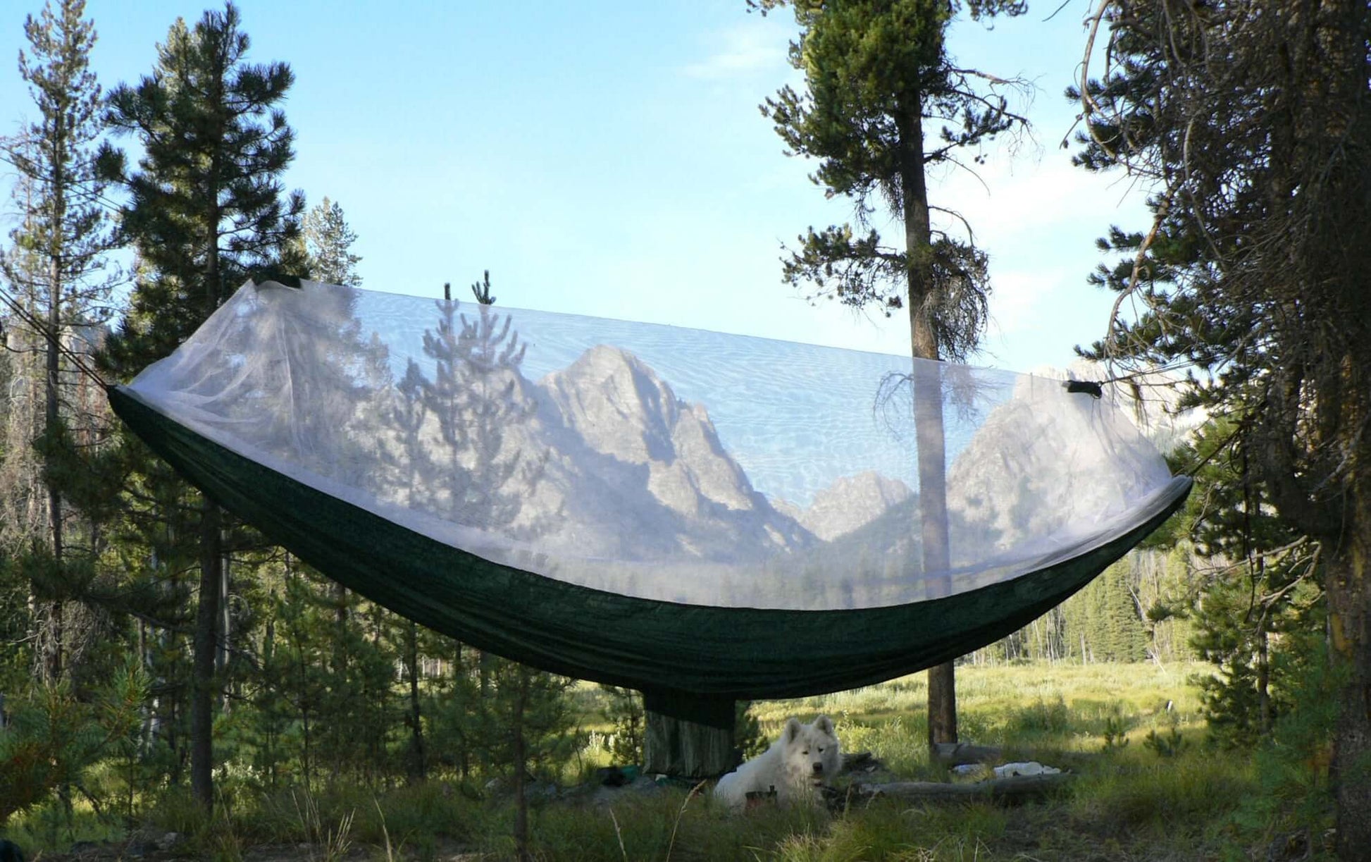 Mosquito Free Hammock with white netting set in a serene forest with mountains in the background, ideal for pest-free relaxation.